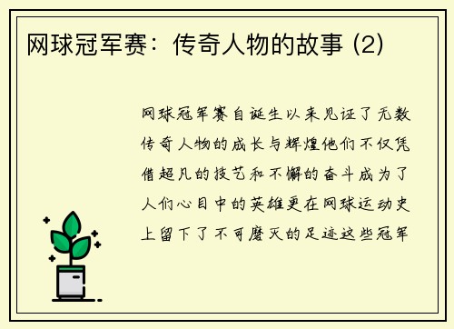 网球冠军赛：传奇人物的故事 (2)